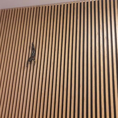 Apartament Szymoszkowa Διαμέρισμα Ζακοπάνε Εξωτερικό φωτογραφία